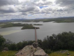 Flora del Cerro Masatrigo